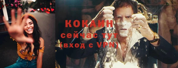 гашик Белоозёрский