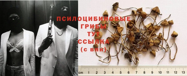 гашик Белоозёрский