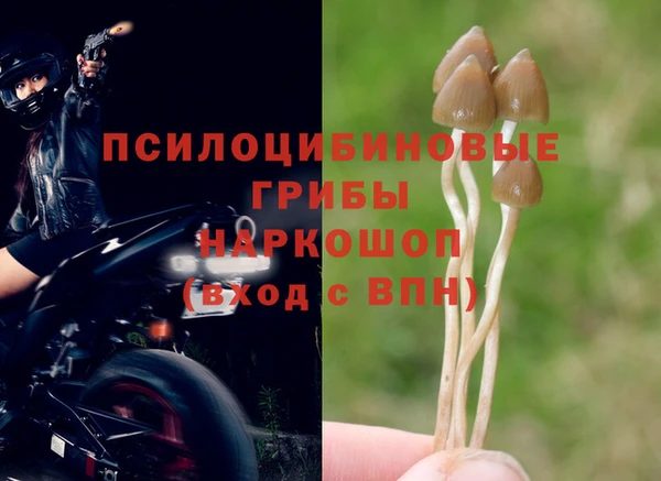 гашишное масло Белокуриха