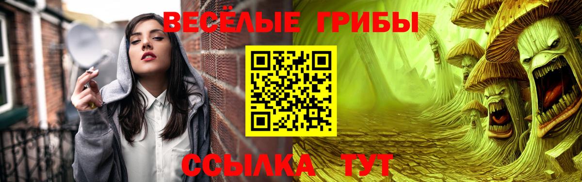 Галлюциногенные грибы Magic Shrooms Калуга